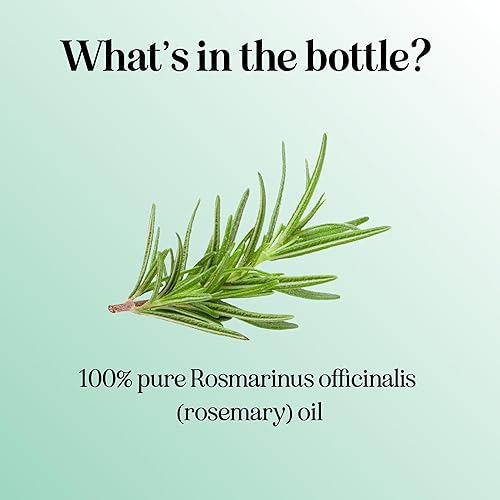 Miniatura 8 de Aceites para el cabello prémium para el crecimiento del cabello, aceite puro de menta y romero para el crecimiento del cabello, juego de aceites de