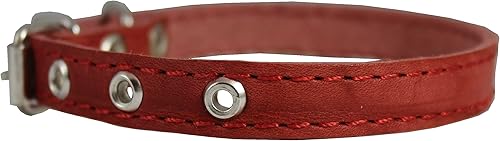 Miniatura 2 de Collar de perro de cuero real rojo 9.5"-13" tamaño del cuello, 12" de ancho Yorkshire Terrier, cachorros