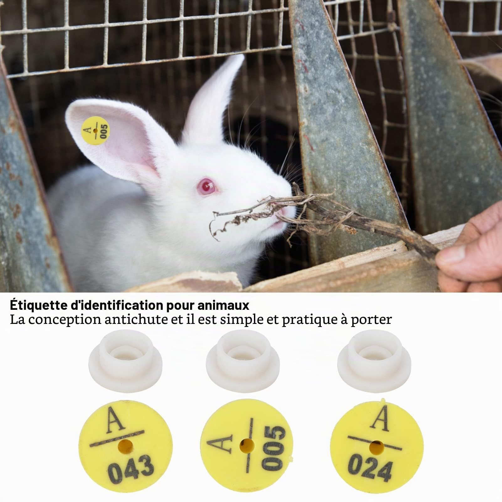 100 ensembles étiquettes d'oreille de lapins étiquettes,Étiquettes Auriculaires De Lapin, Marqueurs D'identification des Animaux Pour le Bétail, Plastique Durable, Identification Et Gestion Faciles