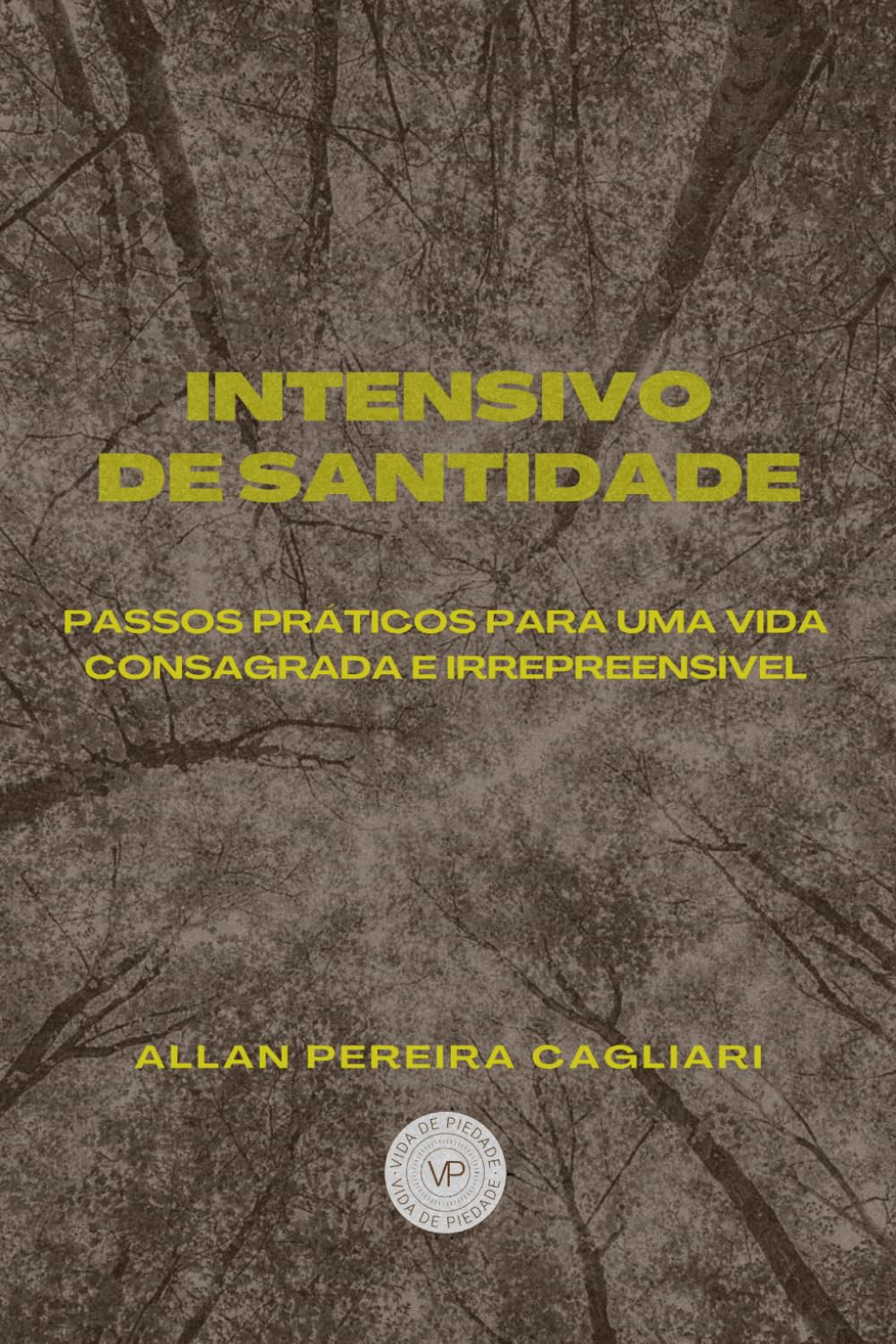 INTENSIVO DE SANTIDADE: PASSOS PRÁTICOS PARA UMA VIDA CONSAGRADA E IRREPREENSÍVEL