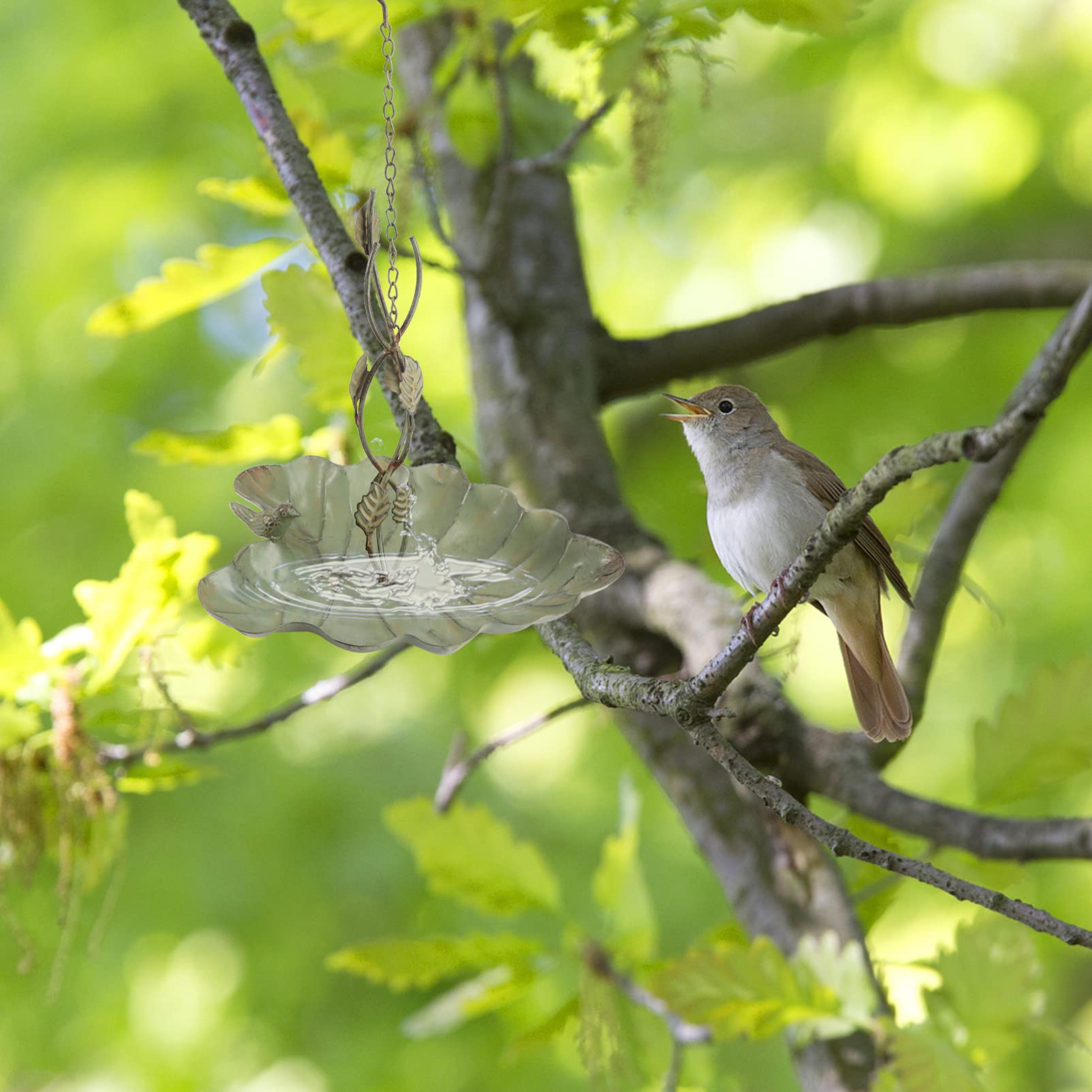 Toyvian Hängender Vogelwasserfutterspender Aus Eisenkunst Im Garten Vogelfütterungswerkzeug Zum Aufhängen Hängender Futterspender Im Freien Für Kanarienvögel Und Papageien