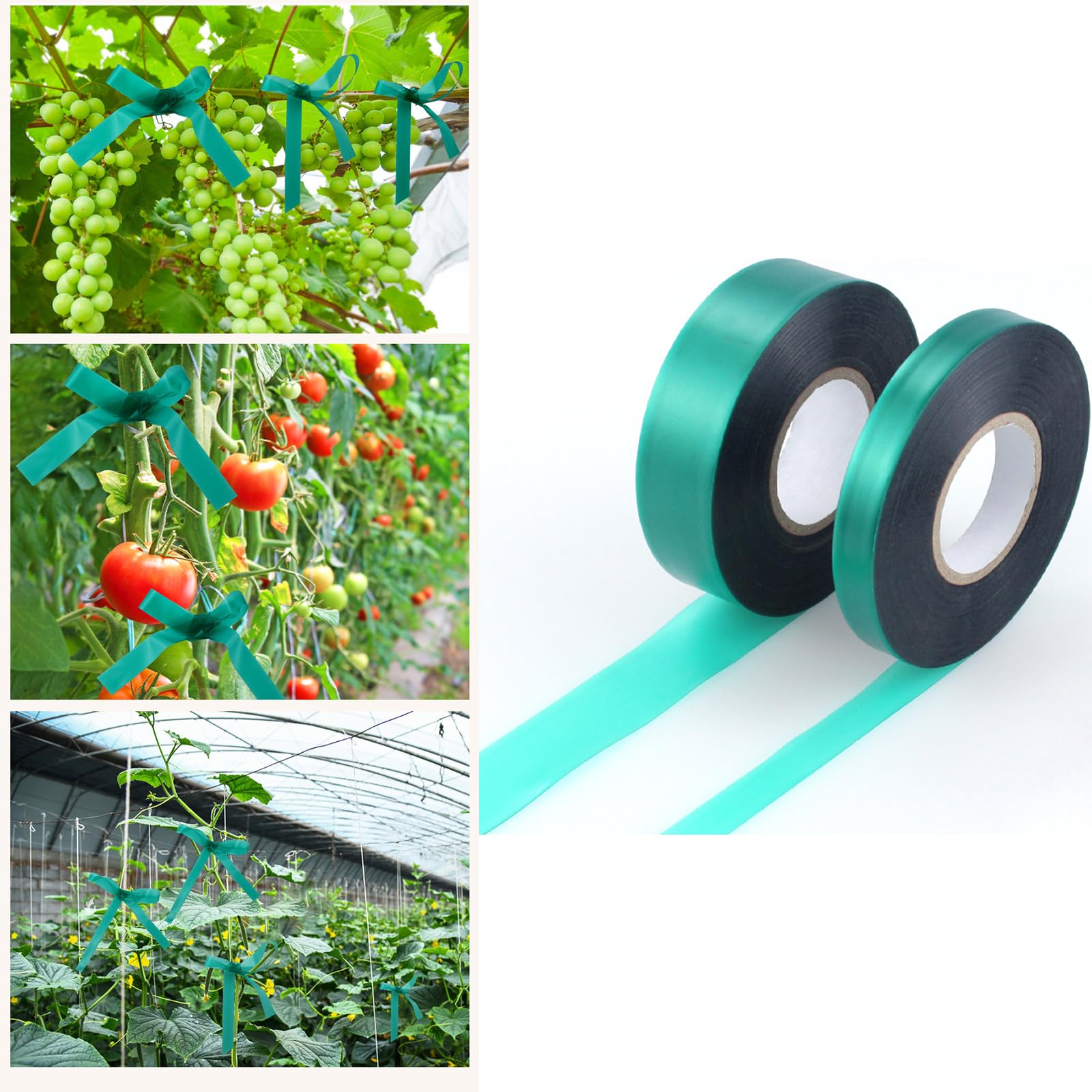 6 rollos de 12/24 mm para plantas de jardín, correa de rama fija para plantas, correas de rama, línea de bobinado, suministros de herramientas Gardne