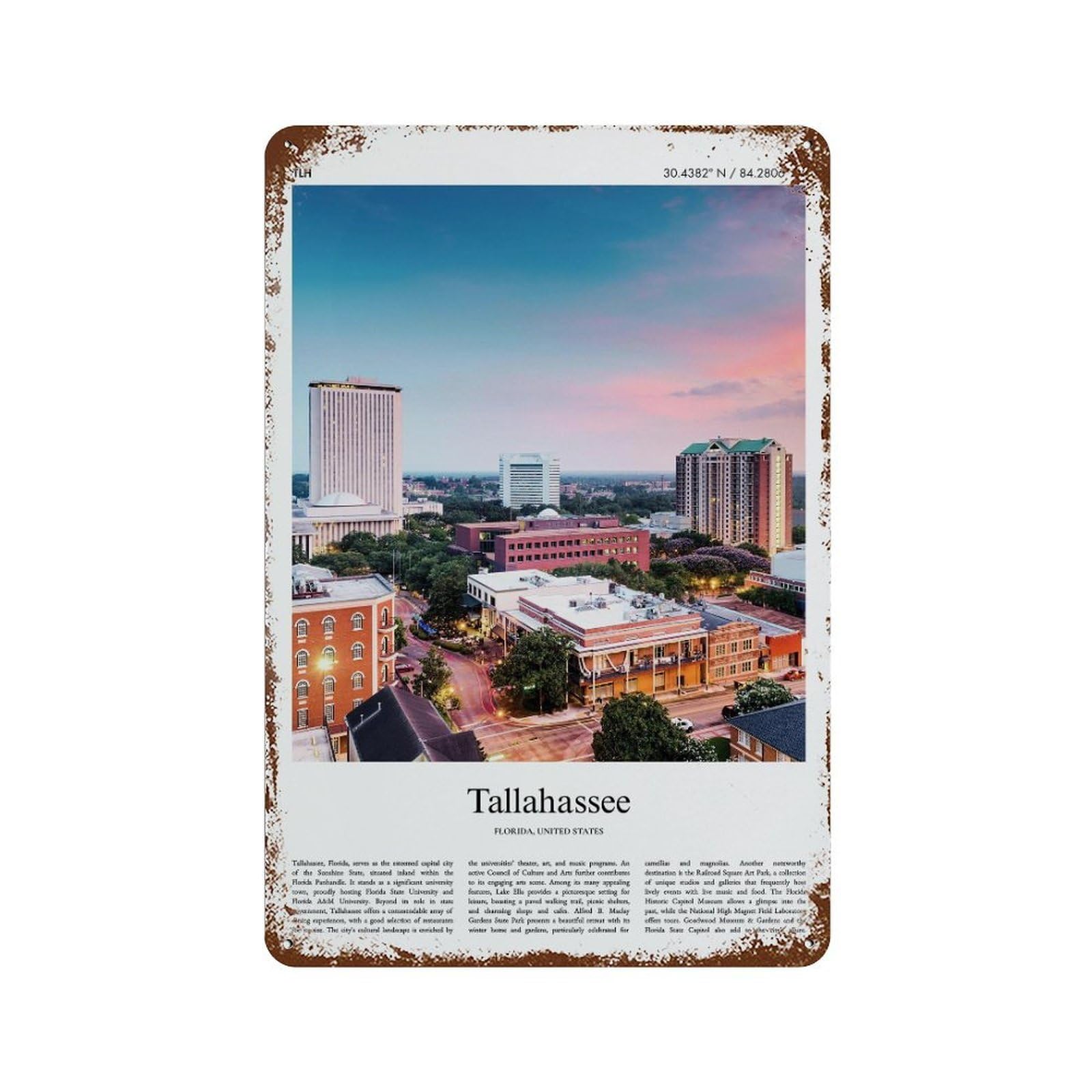xiaoxiaoshen Tallahassee Florida, United States, USA City Scenery Wall Decor Art Metal Tin Poster Modern Home Decor Art Home Bar Shop Decorations Vintage Sign 30x20cm