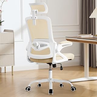 Fizzin Office Chair Mesh Computer Chairs with Adjustable Lumbar Support | Ergonomic Office Chair, Home Office Desk Chairs with Thickened Cushion and Headrest, Comfy Gaming Chair(W-Gray)