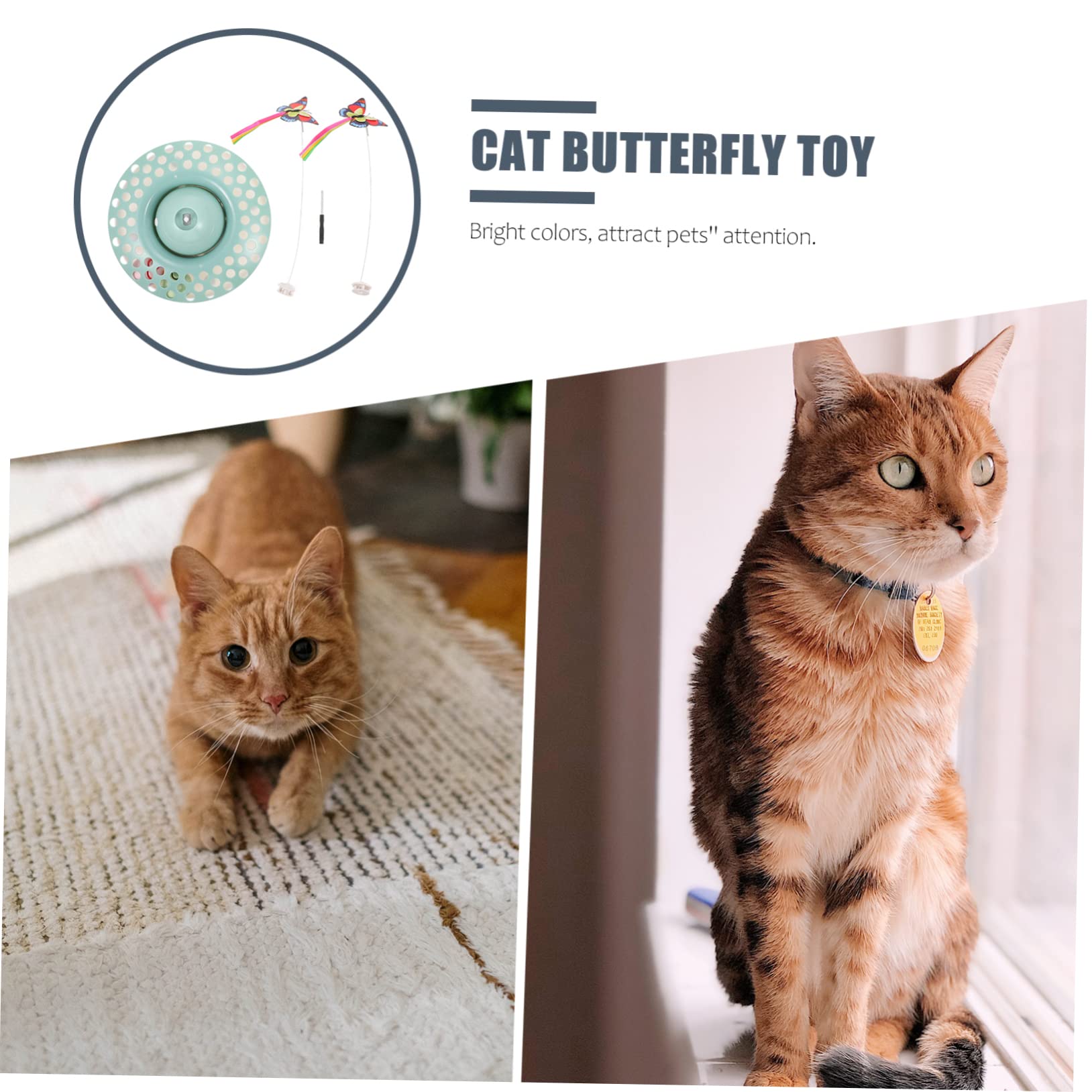POPETPOP 1 Juego Juguete para Gatos Teaser De Gato Gatito Ejercicio Juguete Palo De Burlas De Gato Juguete para Mascotas Perro Abdominales Gato Divertido Palo De