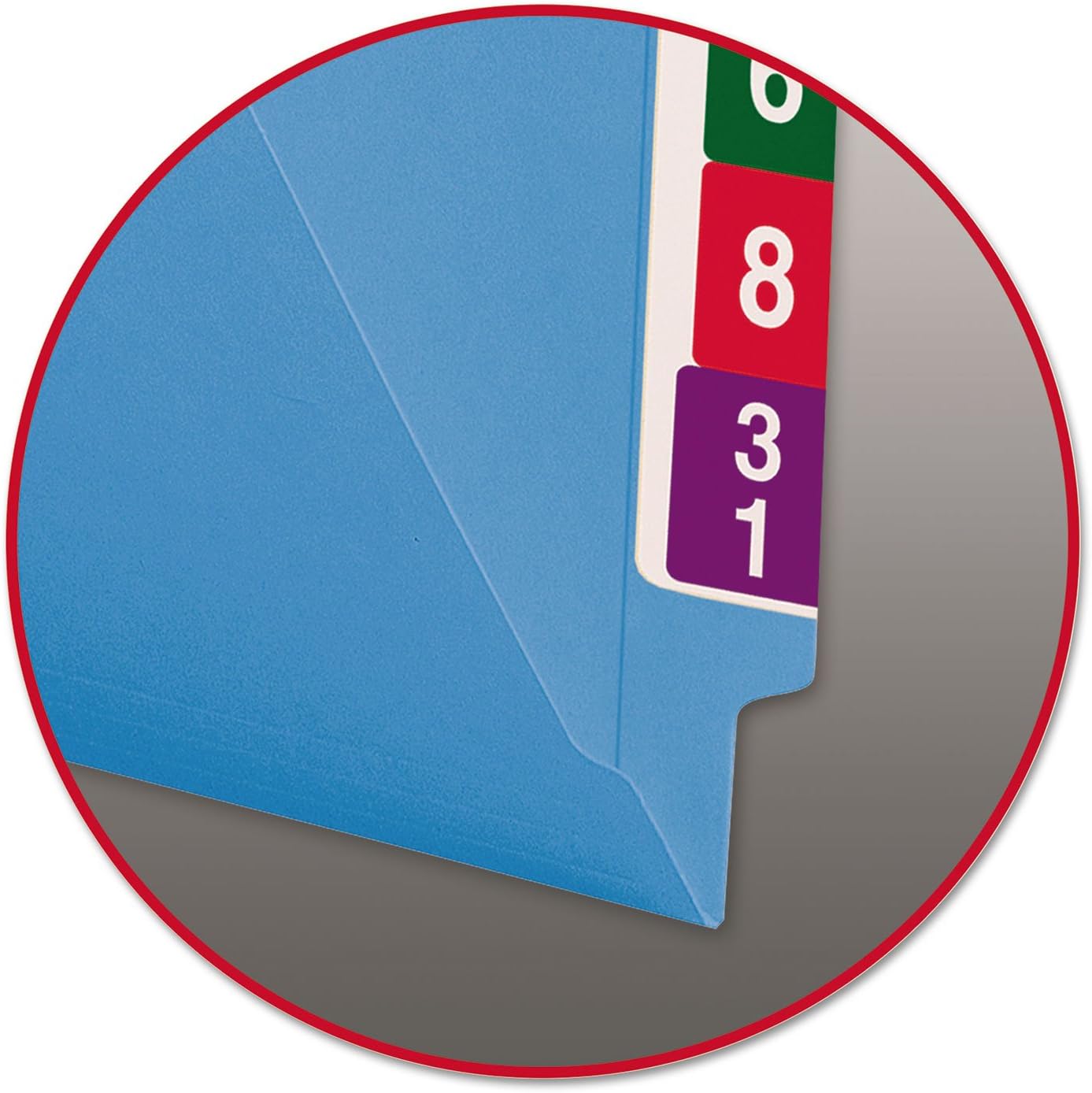 Smead End Tab File Folder, Shelf-Master Reinforced Straight-Cut Tab, Letter Size, Blue, 100 per Box (25010)