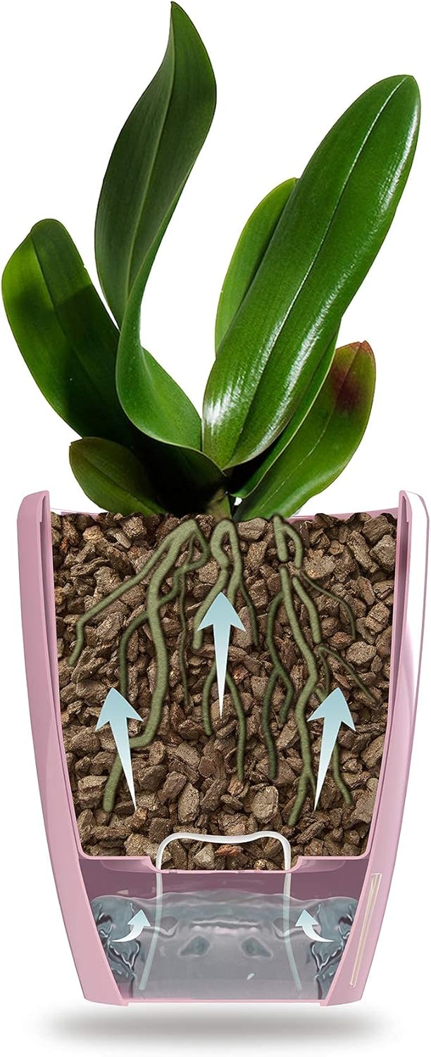 DECOPOTS - Self Watering Orchids Pots Set of 3 - Wicking Planter for Flowers - Water Level Indicator (Set of 3) - 4.9 Inch (4.9 ", Transparent)