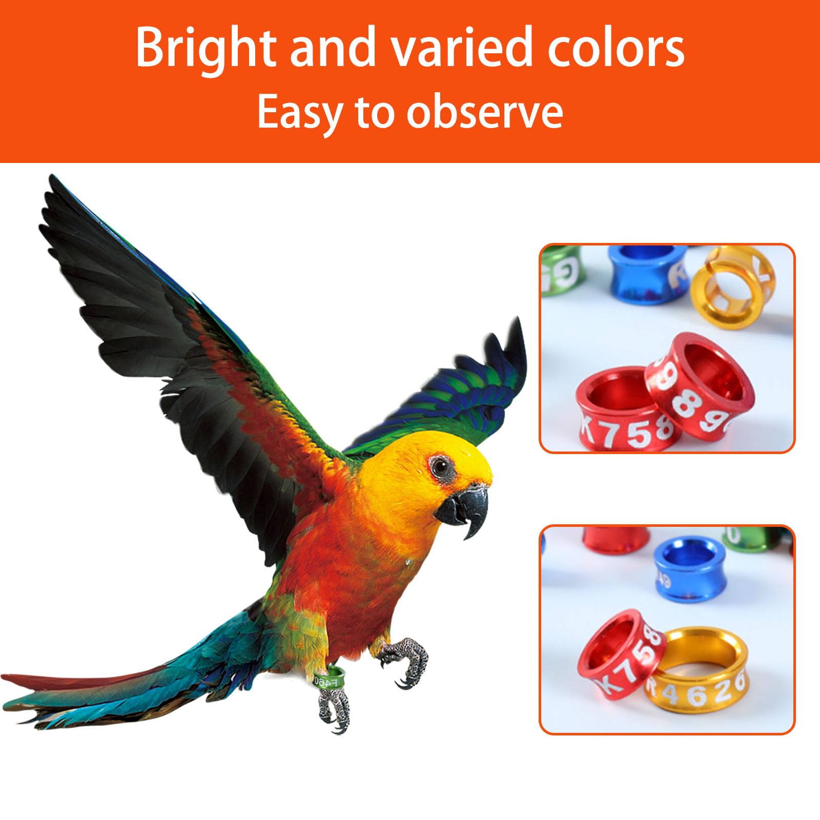 Anillos de pie de pájaros Anillos de Colorido de Pierna Cerrada para pájaros de Hibisco, Loros, peonías, Palomas, etc. （100pcs） 50pieces 4.4MM