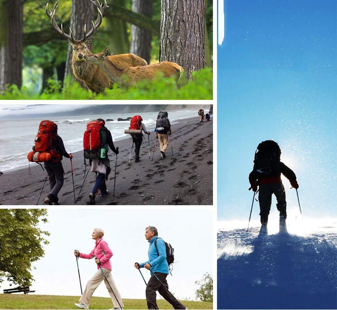 Upgrade Trekking Pole,Ultralight Aluminium Alloy Foldable , Anti Shock Walking/Camping （1 Pack，Red） : Sports & Outdoors