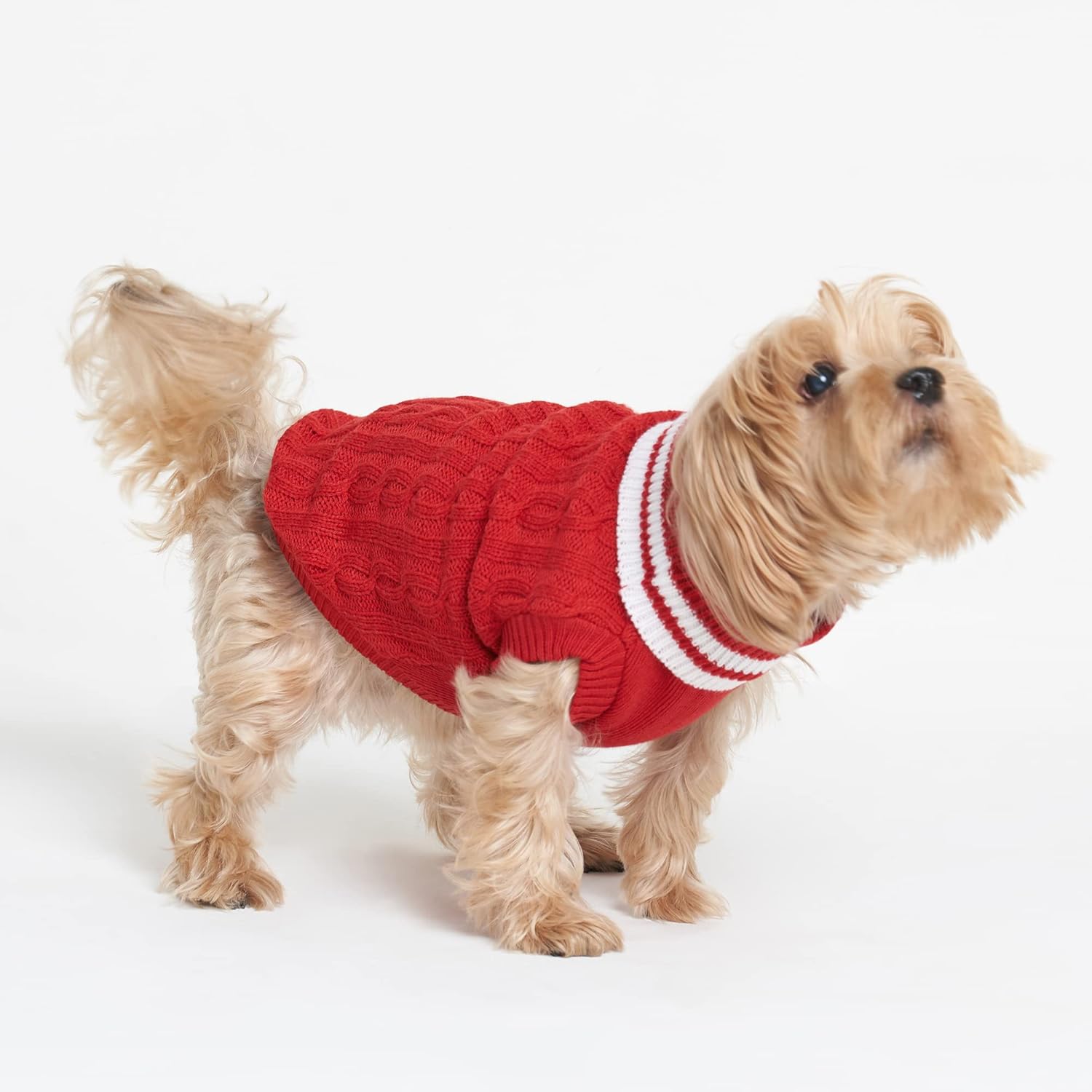 The Pawpstar Co Solid Sweaters for Dogs (M, The Ruby Knitted Sweater) Amazon.in Fashion