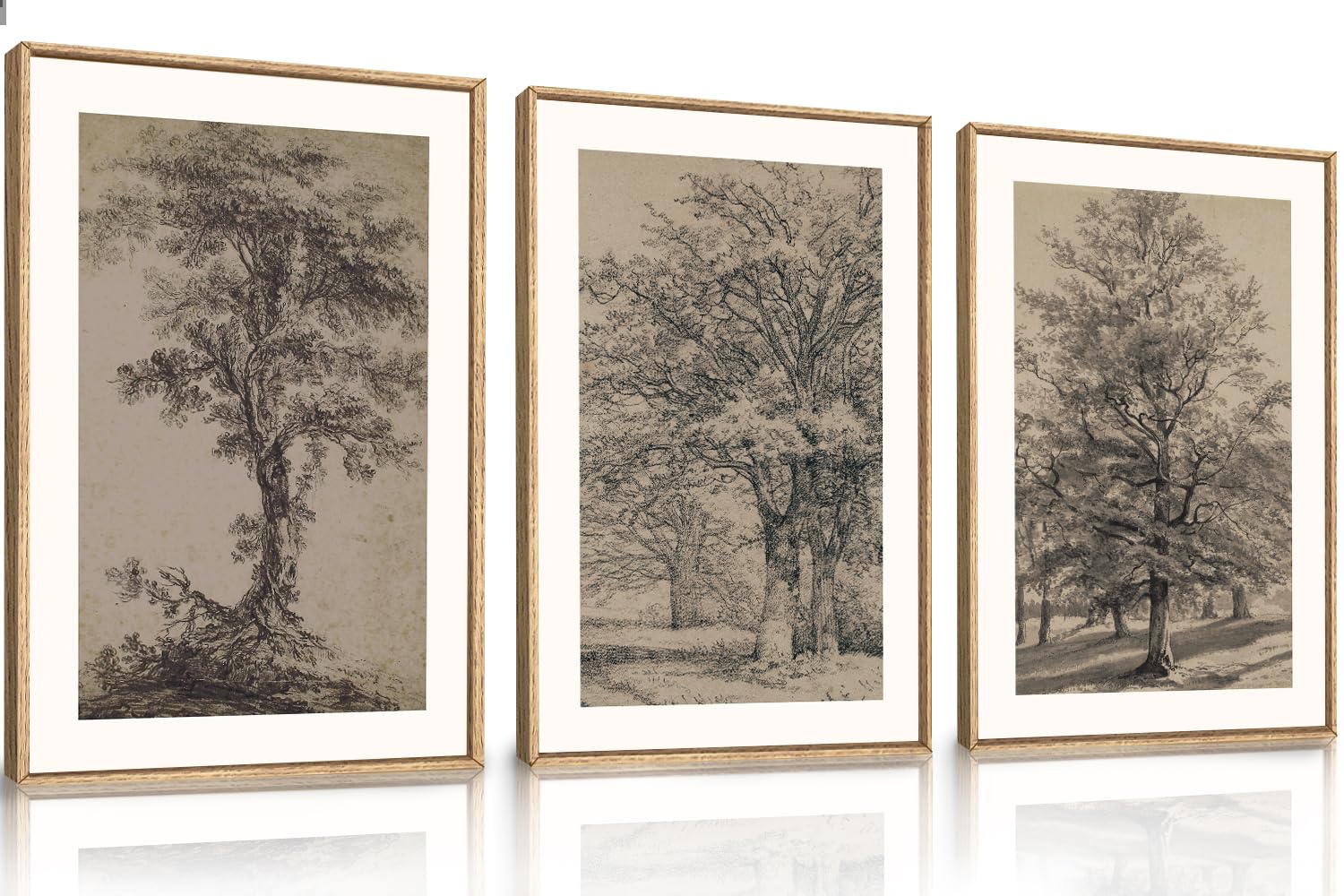KAIRNE Vintage Tree Sketch Wall Art Set, Antique Tree Drawings Wall Decor, Nature Sketch Wall Painting, Framed Botanical Canvas Art Prints for Living Room, Bedroom, Dinning Room, Farmhouse - 24"x36"x3