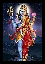 Shiva Parvati Ardhnarishwar Modern Art Painting Photo Frame (Size-8 x12) Inch