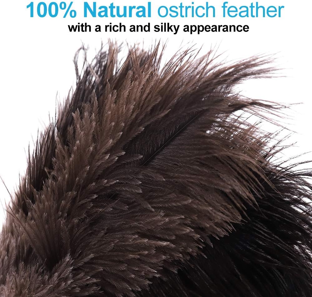 Midoneat Natural Black Ostrich Feather Duster,2 Packs,Car Duster Interior/Exterior Cleaner,Duster for Blinds Kitchen Keyboard Office, Smart and Soft and Fluffy Duster (Black) : Health & Household