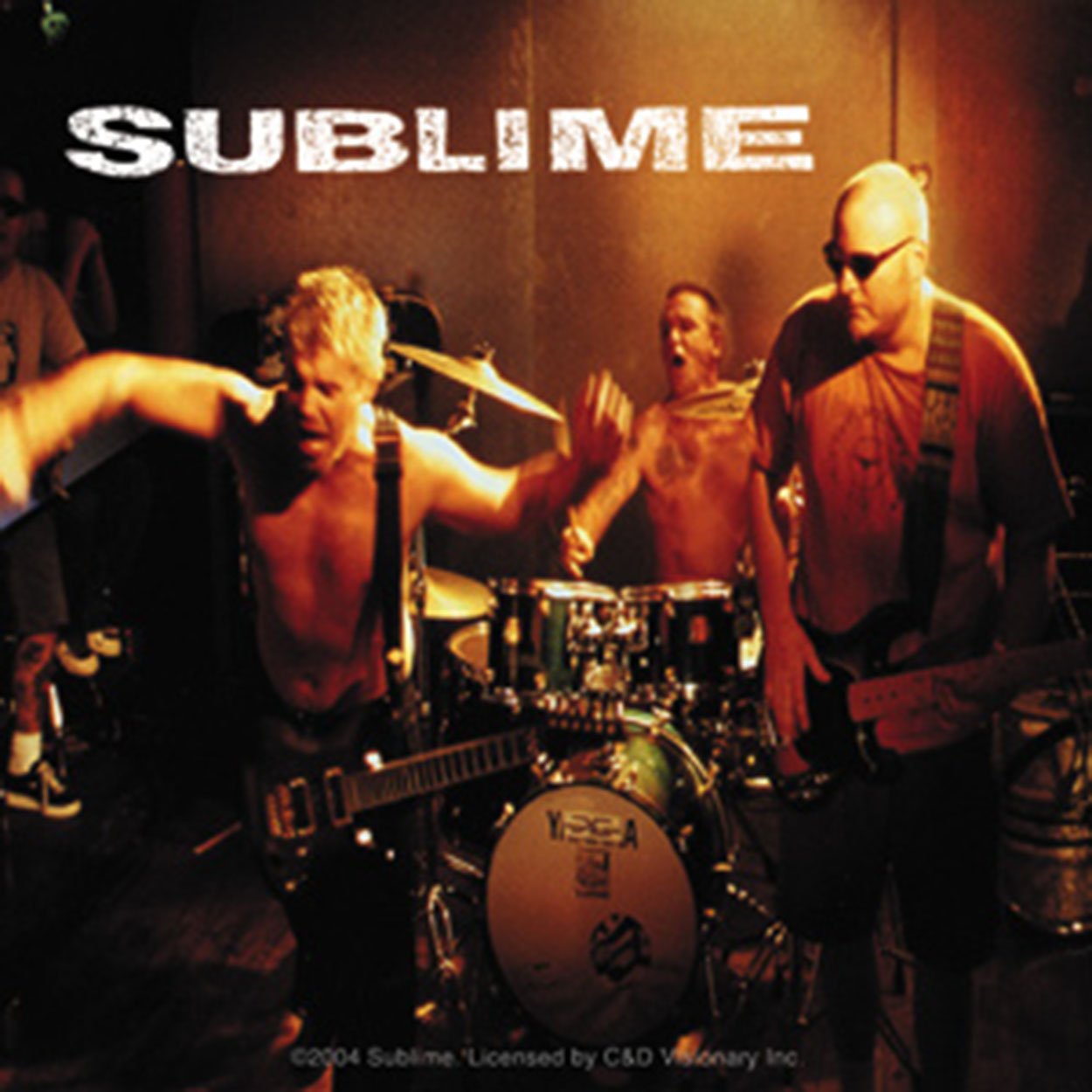 C&D Visionary Licenses Products Sublime Photo Sticker