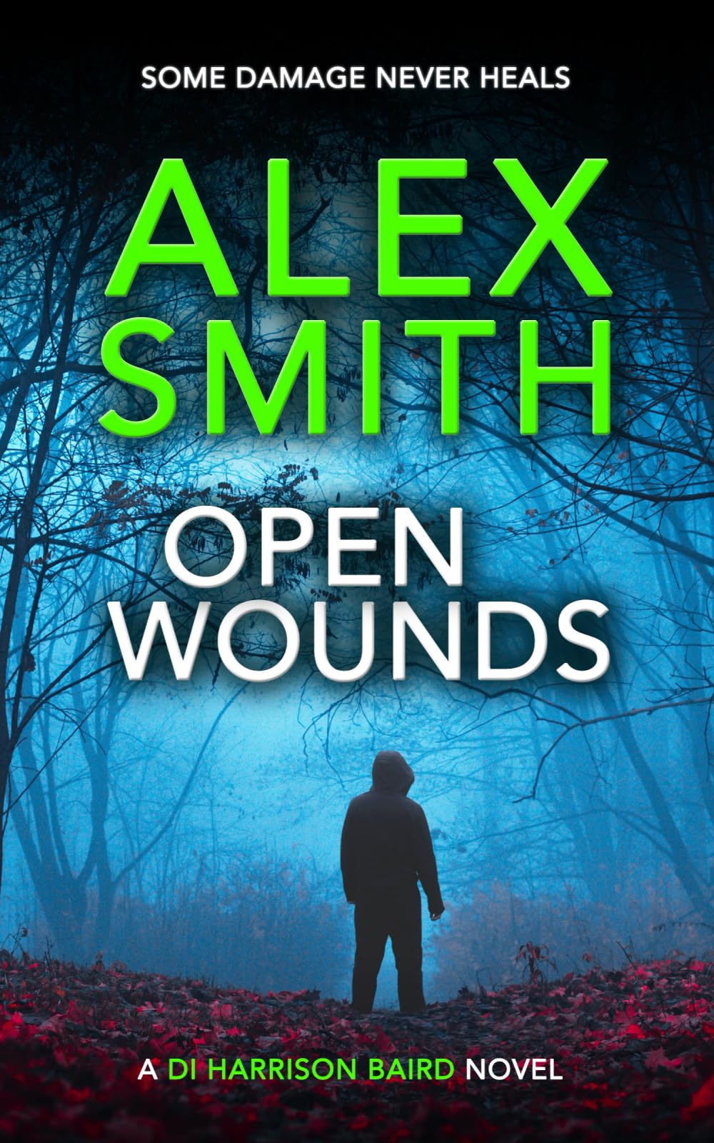 Open Wounds: A British Crime Thriller (DI Harrison Baird Crime Thrillers)