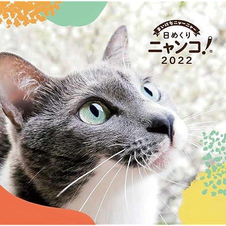 Amazon 日めくりニャンコ 22年 卓上日めくりカレンダー猫版 カレンダー 文房具 オフィス用品