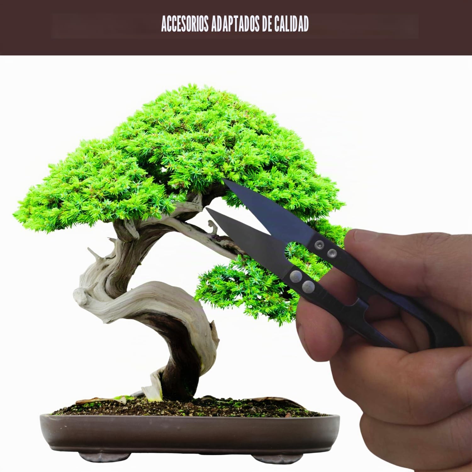 NOPALIA® Kit Bonsái 3 Especies Bio Listo para Crecer con Herramientas Pro (Pinza, Tijeras, Pipeta), Macetas, Tierra y Base Innovadora - Garantía 95% Germinación - Idea de Regalo Zen Navidad Fabricado