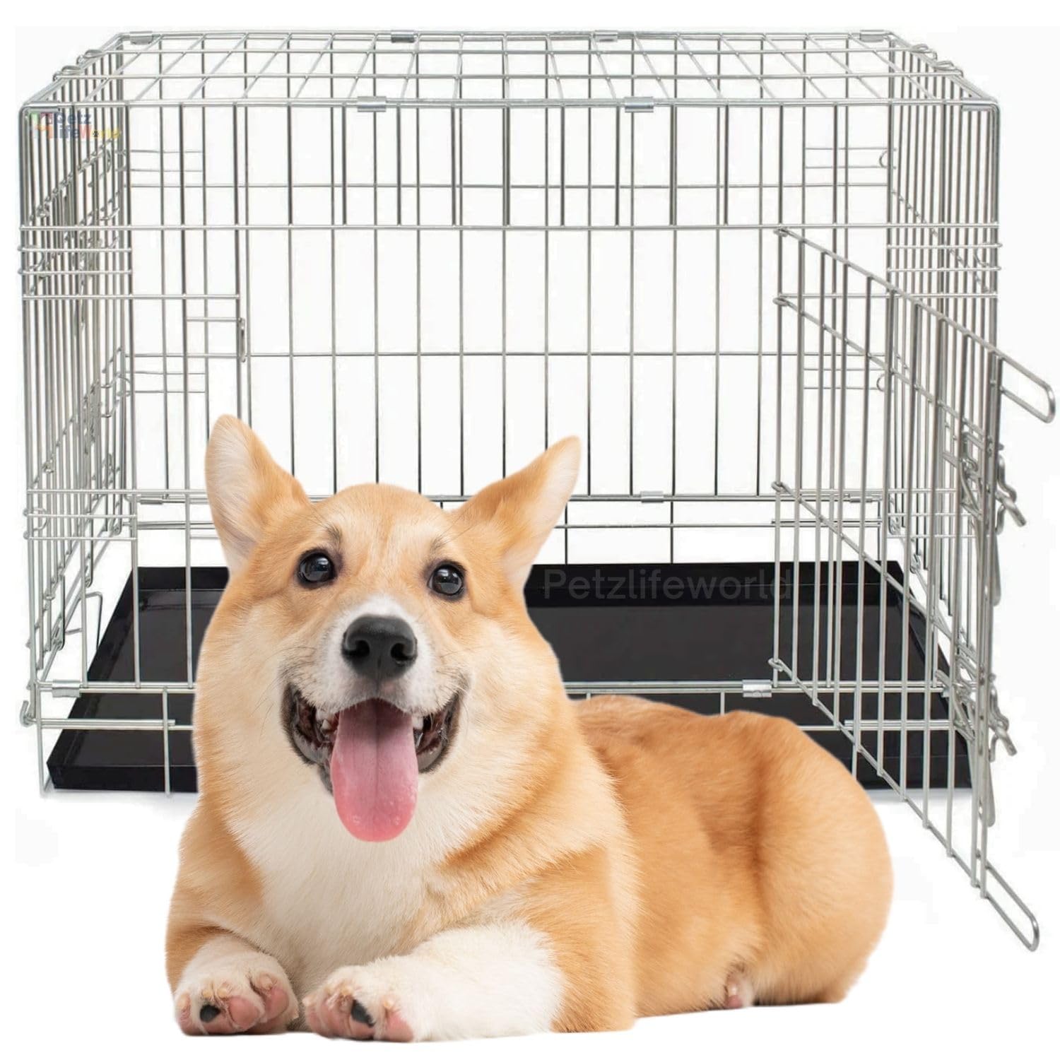 VAYINATO® 2 Feet (24 Inch) Stainless Steel Dog Cage with Removable Black Tray, Double Door Folding Dog Cage by Petzlifeworld (B0D3PZVCB8) Amazon Price History, Amazon Price Tracker