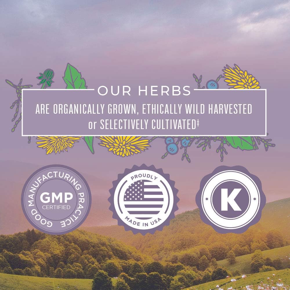 Kidney Support Drops by MaryRuth's, Liquid Herbal Supplement for Renal and Urinary Tract Support, Vegan, Non-GMO & Gluten Free, 1 Fl Oz : Health & Household