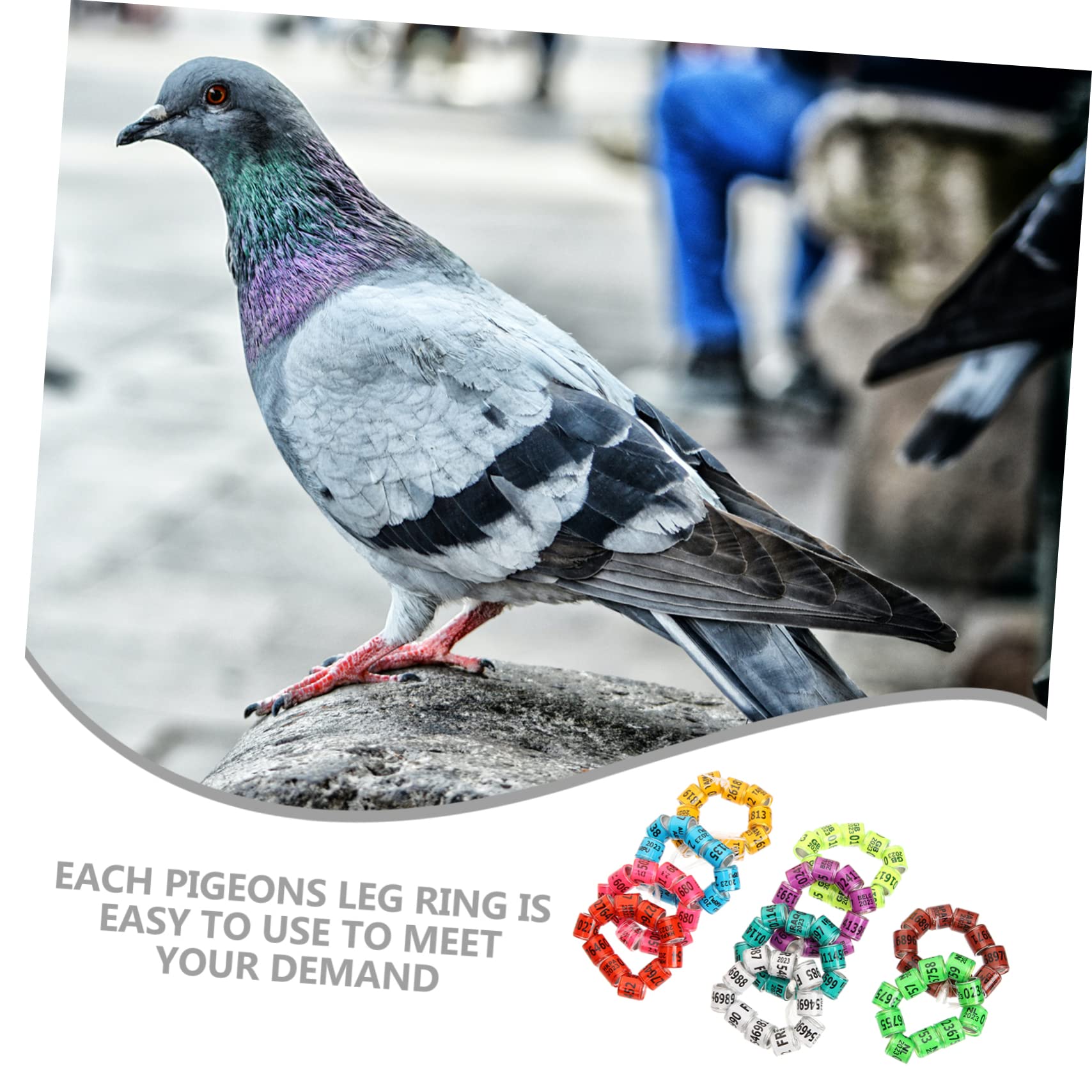 POPETPOP 400pezzi per Pigeon Leg Fasce Identificative per Piccioni per Pollame Accessori e Resistenti per Domestici e Parrocchetti