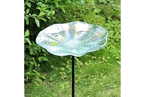 MUMTOP Outdoor Bird Bath with Stake: A Haven for Feathered Friends