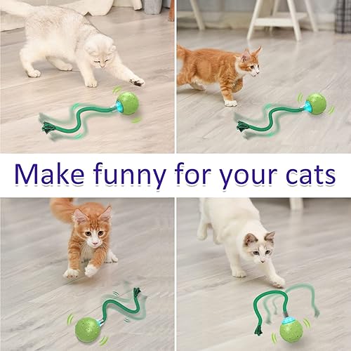 Miniatura 6 de AUKL Cat Toys - Pelota de juguete giratoria interactiva para gatos con sonido de pájaro (bola verde)