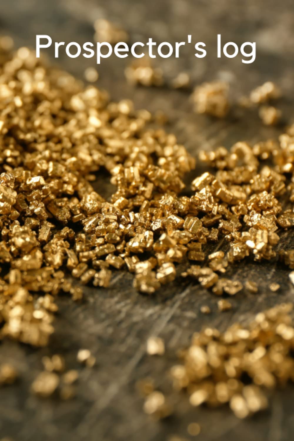 Prospector's Log: Logbook for gold prospector's