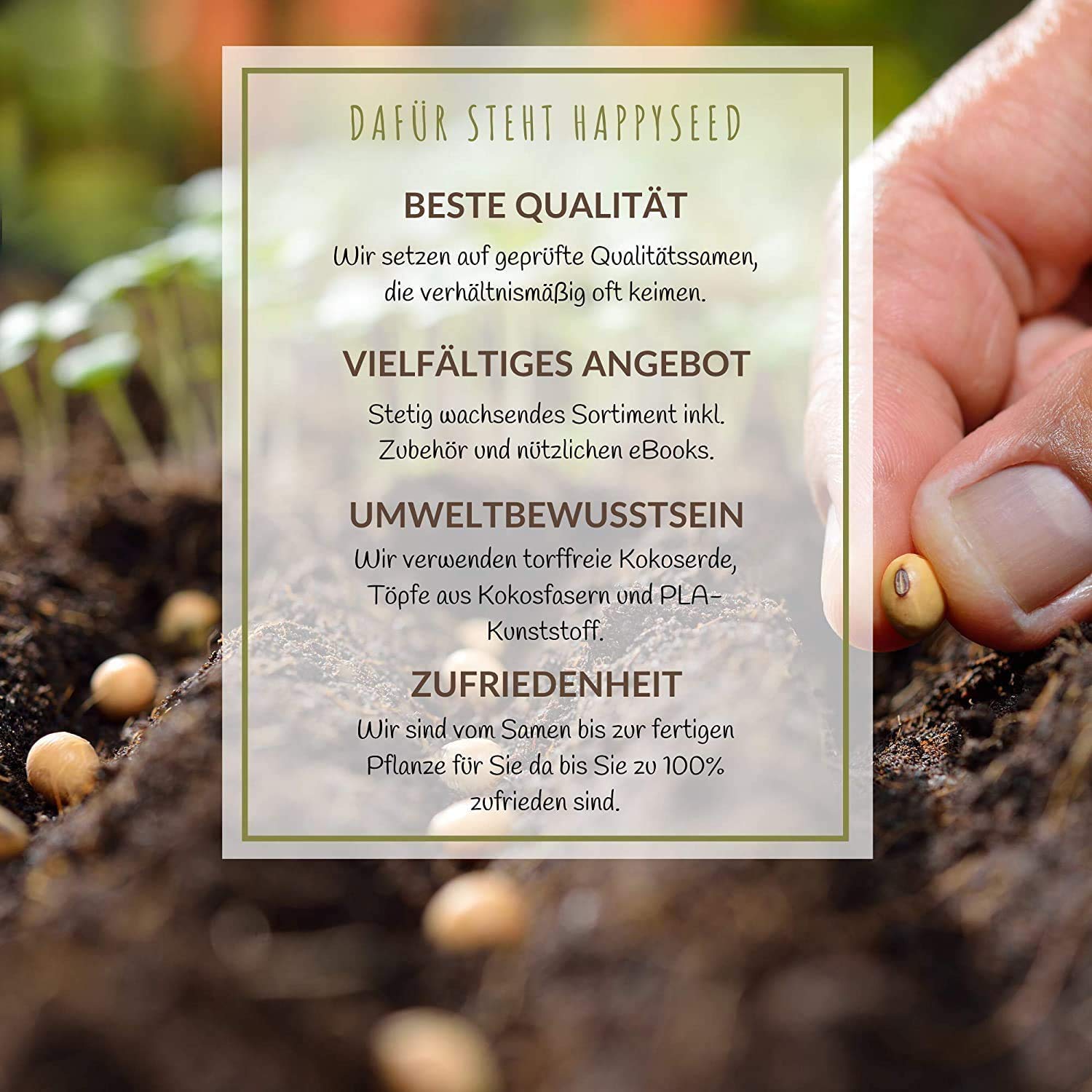 100 g de semillas de pradera floral para un colorido pastizal de abejas - Mezcla de semillas de flores silvestres coloridas y ricas en néctar para abejas y mariposas (incluye GRATIS eBook)