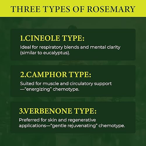 Vista 8 de Aceite esencial de cinol certificado de romero orgánico España - (1oz)