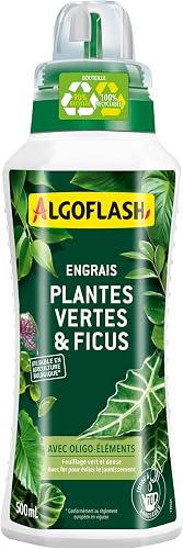 Engrais Liquide Plantes Vertes et Ficus Algoflash
