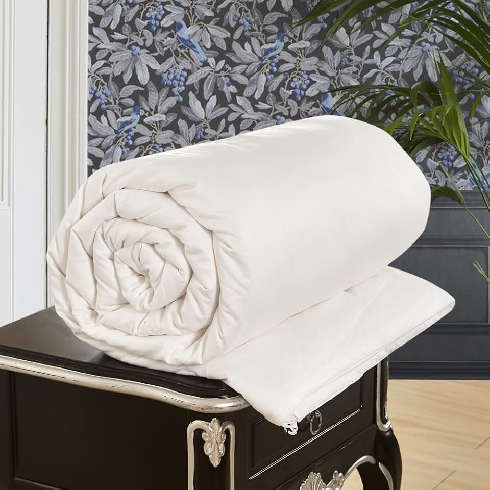 Amazon.ca silk duvet