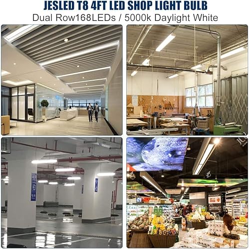 Jesled T8 T12 4Ft Led Type B Light Bulbs, 24W 3000Lm 5000K Daylight White, 4 Foot Flourescent Tube Replacement, Etl Listed, Remove Ballast, Double Row, Dual-End Powered, Clear, Warehouse Lights 4Pack #TOP4
