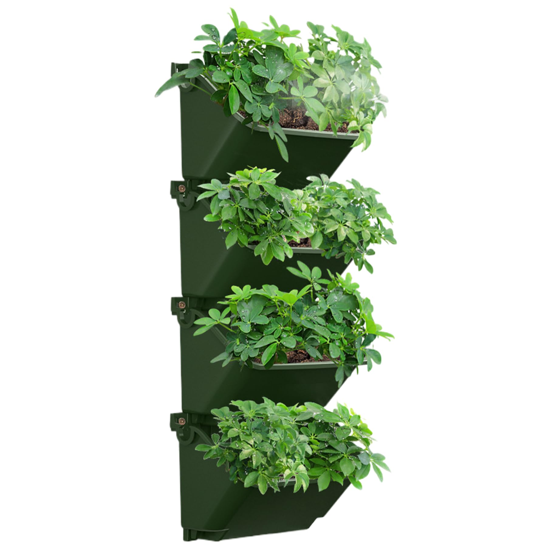 Jardinière murale pour petites plantes et herbes aromatiques sans arrosage quotidien