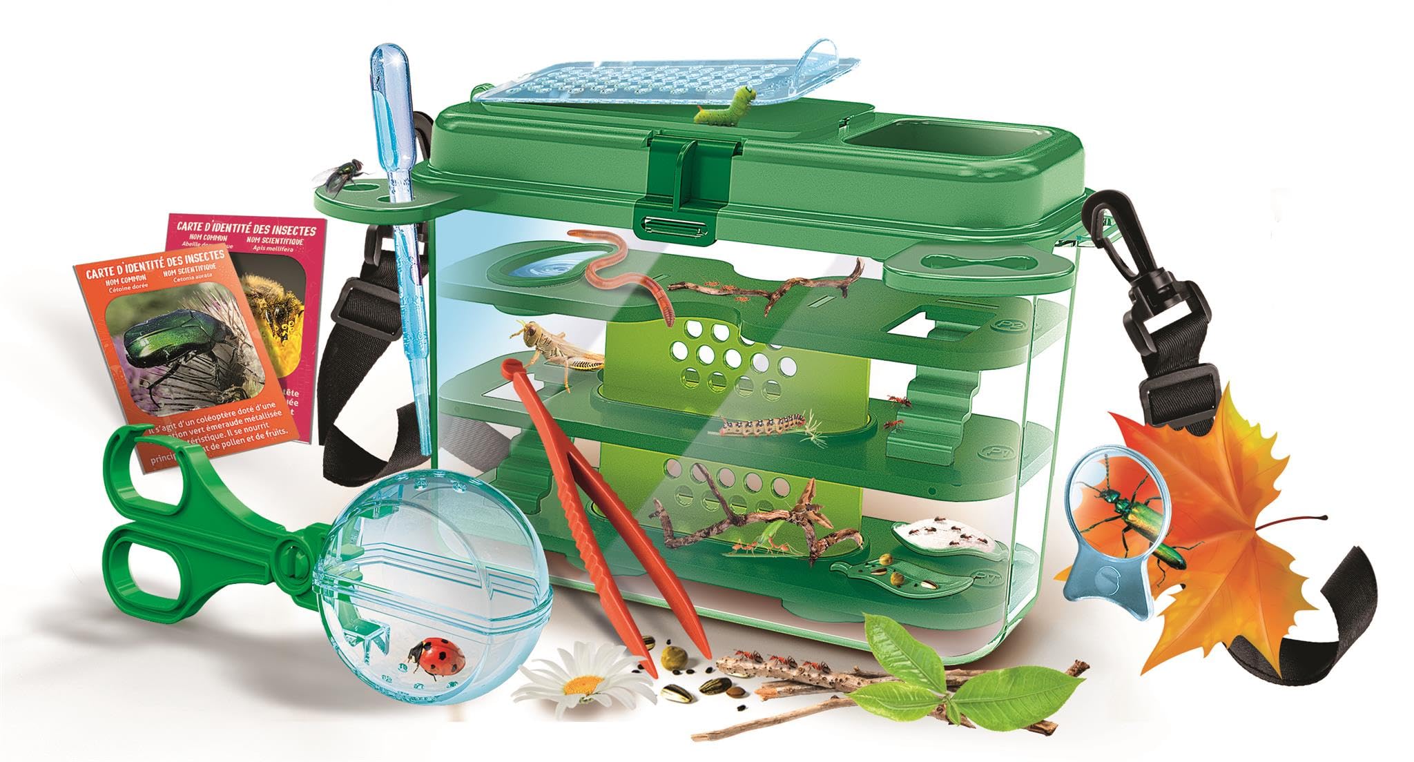 La Casa de los Insectos