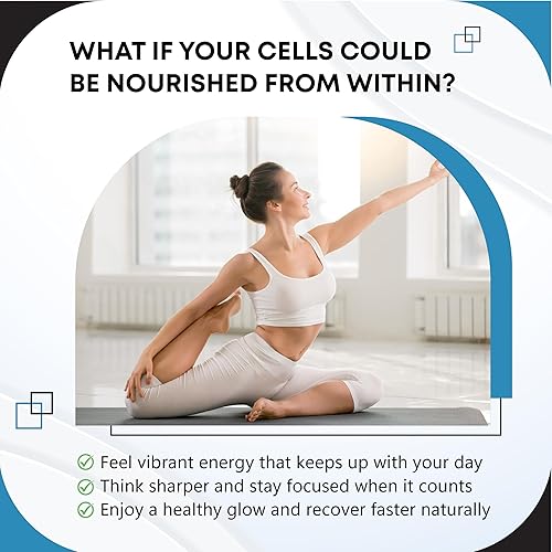 Miniatura 2 de NAD+ Boosting Trans-Resveratrol Cúrcuma Quercetina Romero Arándano Salvia Té Verde Orégano Orégano Orégano Cardo Mariano Pimienta Negra -150