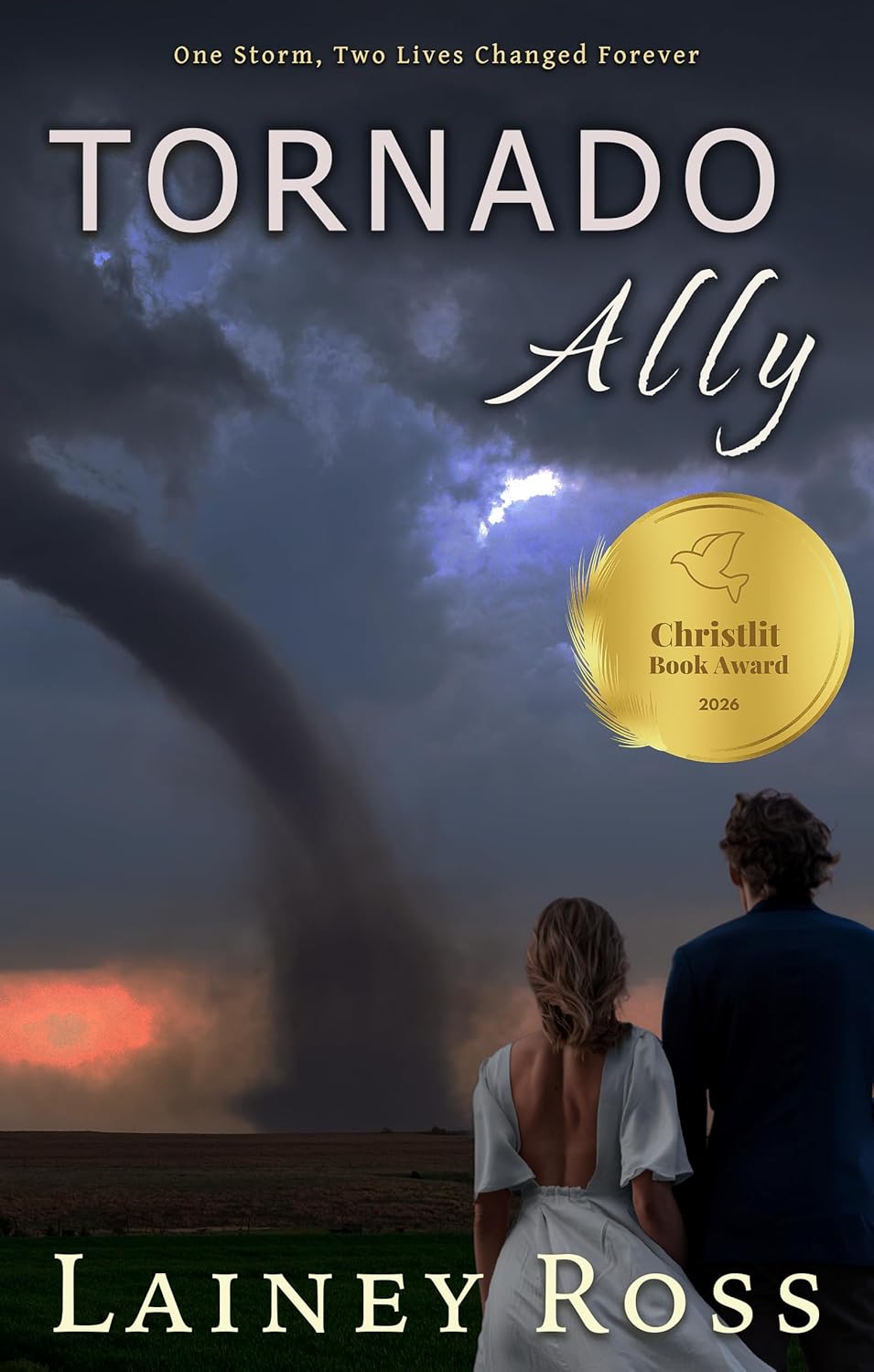 Tornado Ally: A Small Town Romantic Comedy (Blink, Oklahoma Book 1)      Kindle Edition