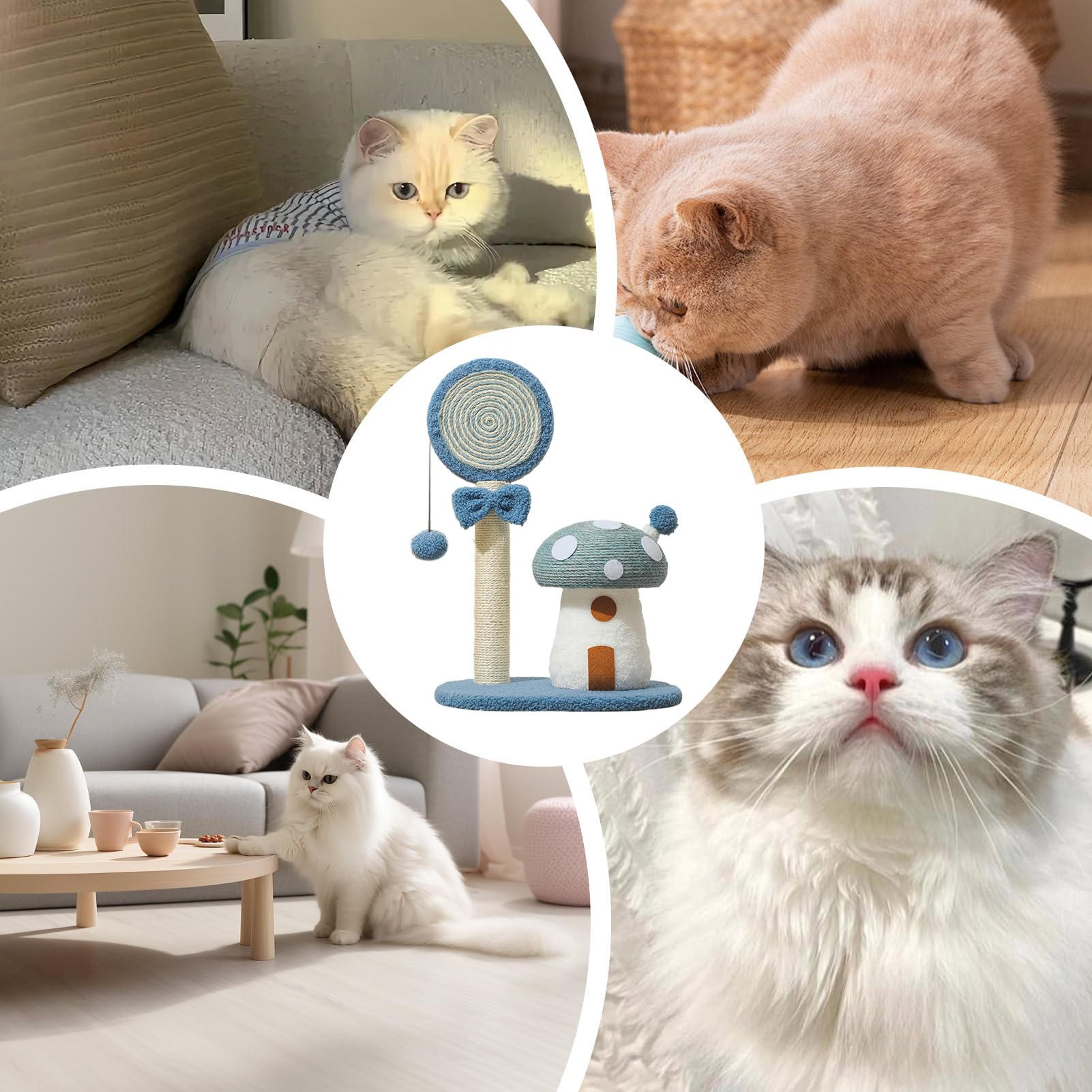 Albero torre da gatti Tiragraffi in sisal a fungo, accogliente | Albero Tiragraffi Per Gatti Interno E Esterno per Casa Dormitorio Appartamento Piccoli Spazi e Area Giochi
