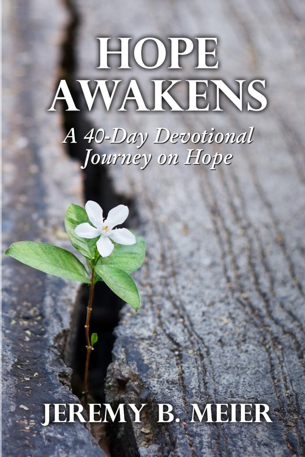 Hope Awakens: A 40-Day Devotional Journey on Hope