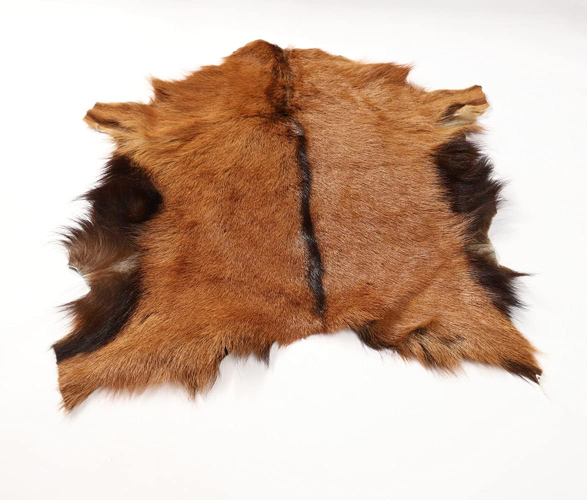 Natural Tanned Sheep Skin Antelope Fur Goat Hide Pelts Skin Springbok Fur Hide Pelt Rug Taxidermy Hunting Trophy and Plush Clothing Liner Bag Accessories 1PCS (16X16IN)