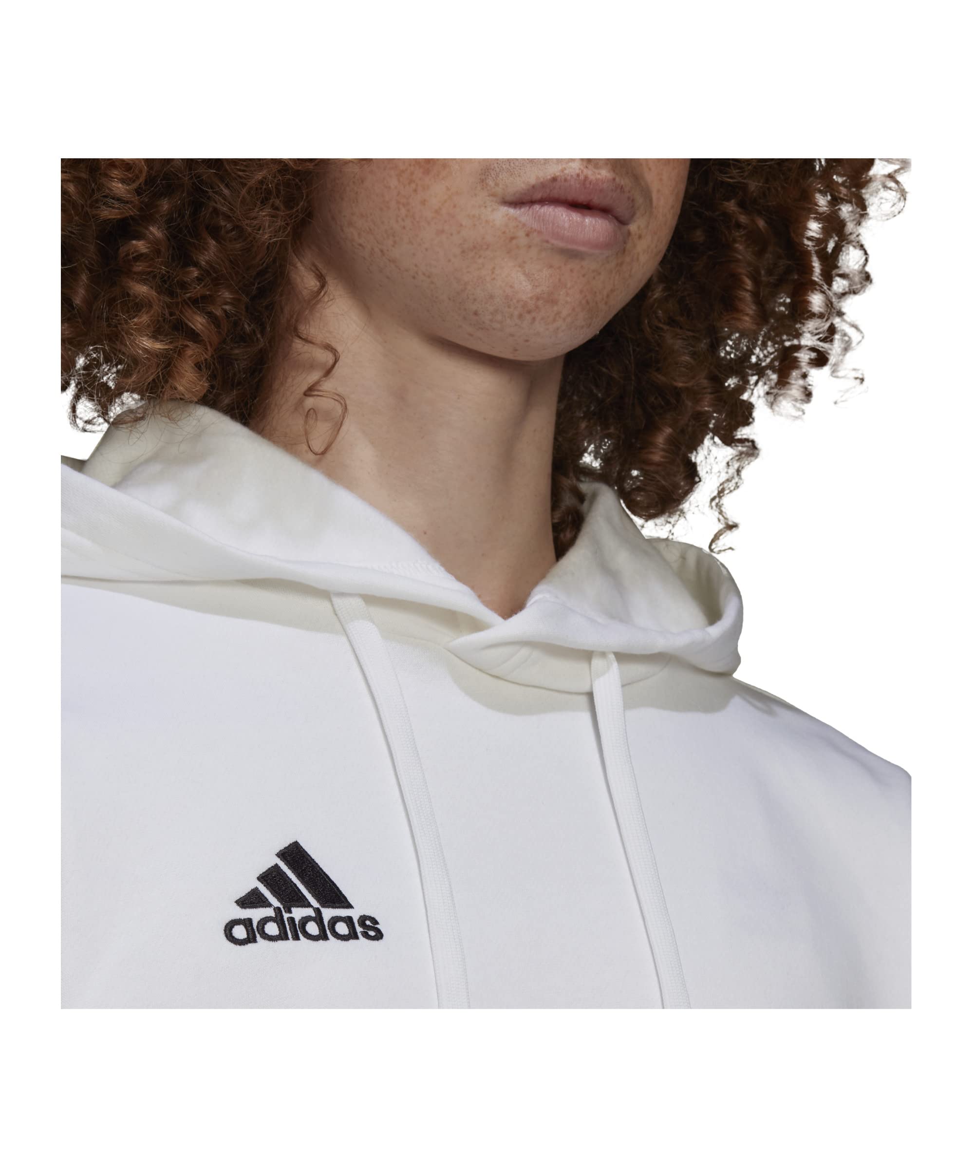 Adidas Homme Entrada 22 Sweat Hoodie