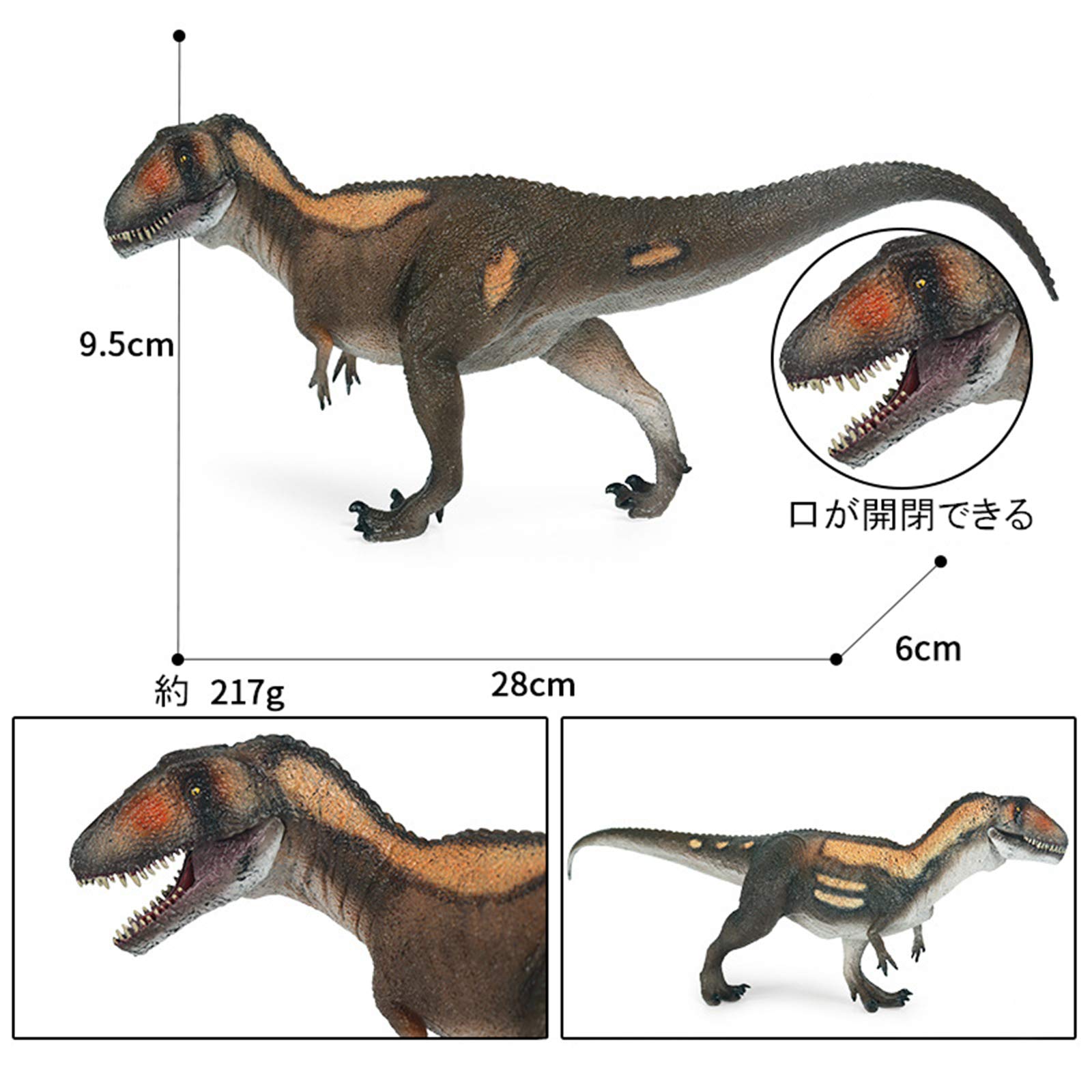 Amazon | Eden Toys カルカロドントサウルス 恐竜 獣脚類 動物 リアル