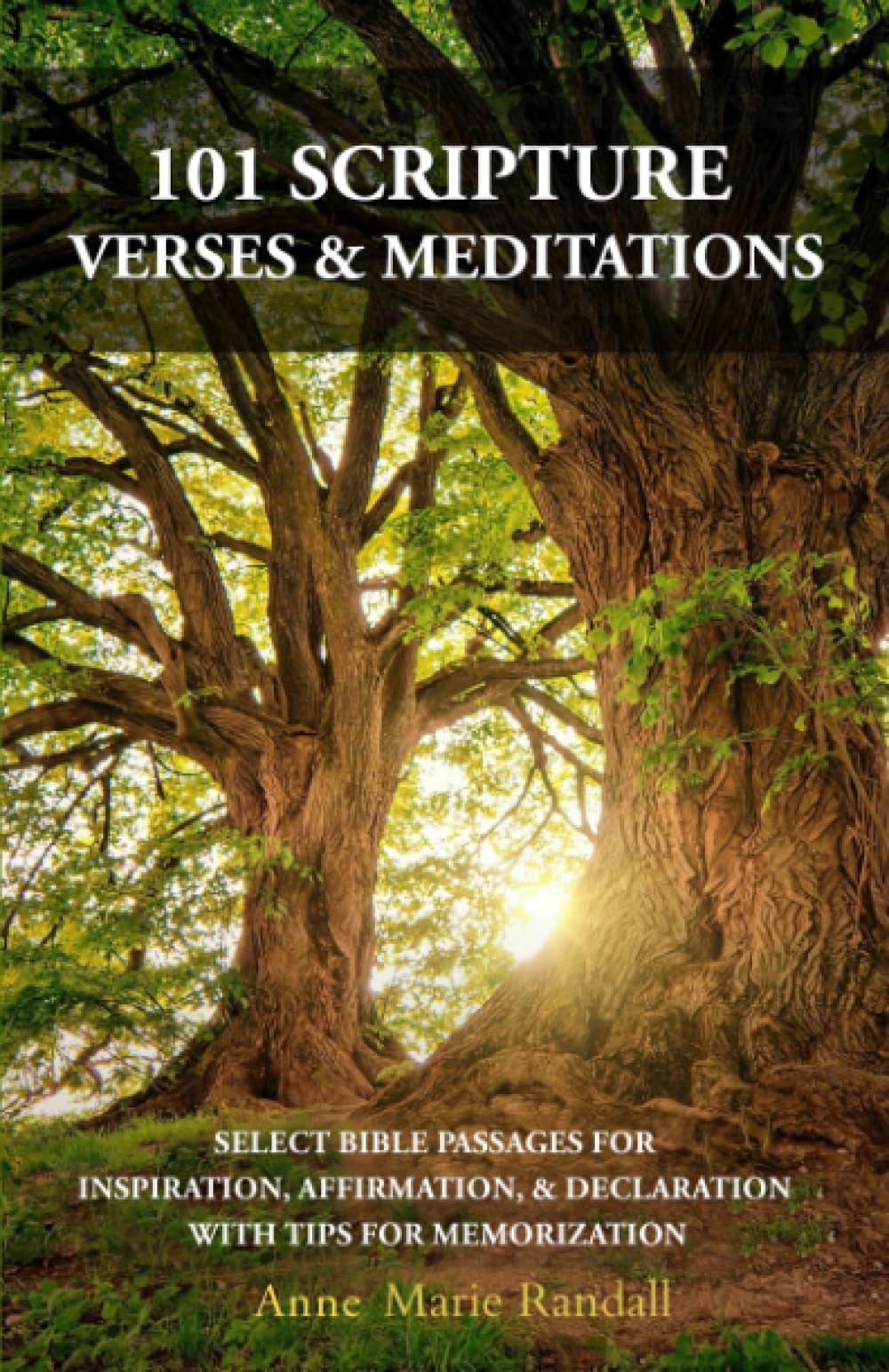 101 SCRIPTURE VERSES & MEDITATIONS: SELECT BIBLE PASSAGES FOR INSPIRATION, AFFIRMATION, & DECLARATION, WITH TIPS FOR MEMORIZATION (Scripture Comes