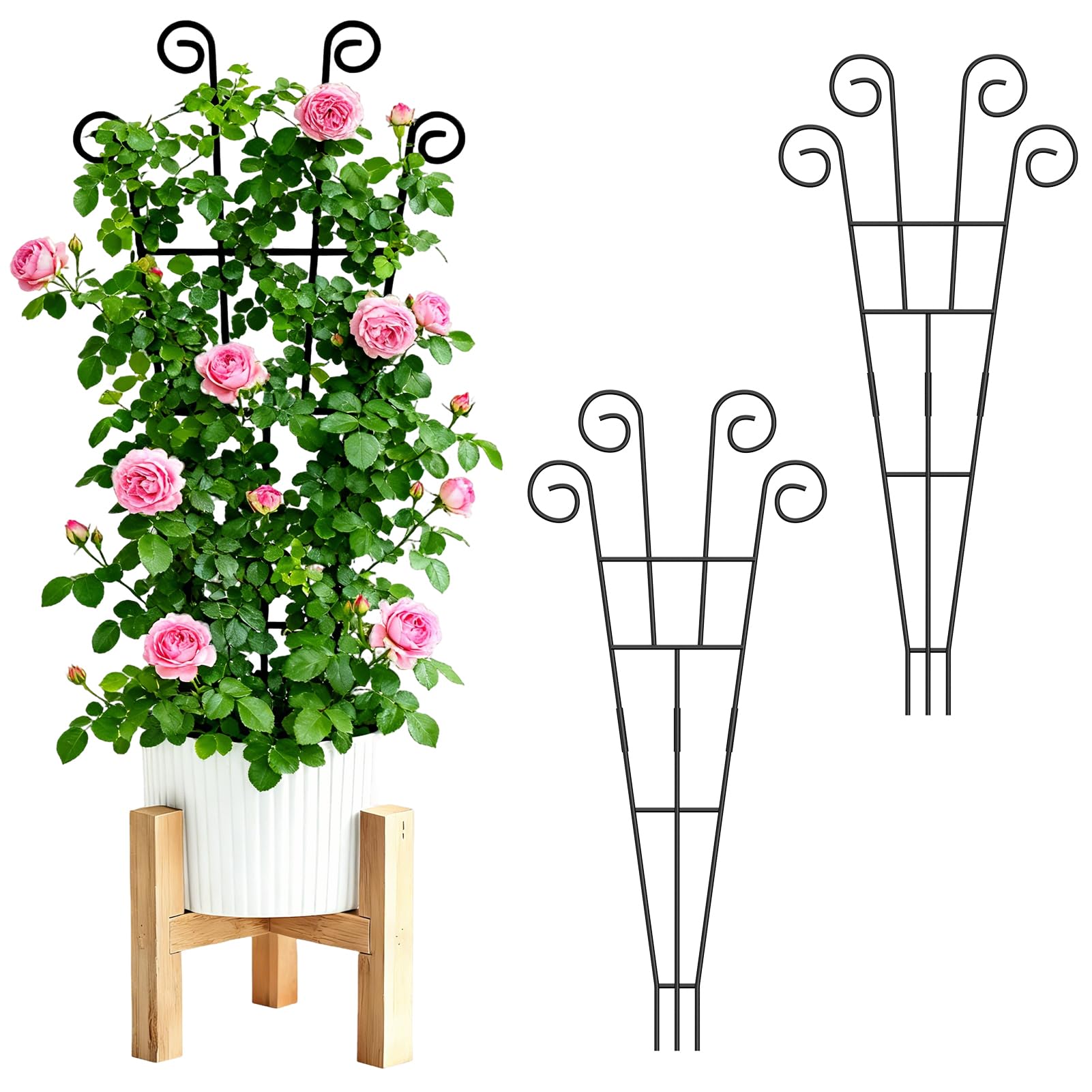 WELDUN 2 Pack Plant Trellis 75CM for Climbing Plants Potted Plants Indoor Outdoor, Metal Support Stake for Vegetables, Roses & Vines
