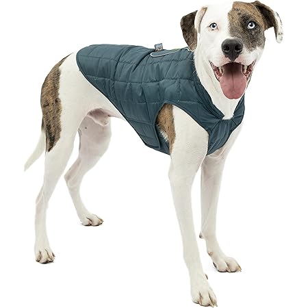 dog overcoat