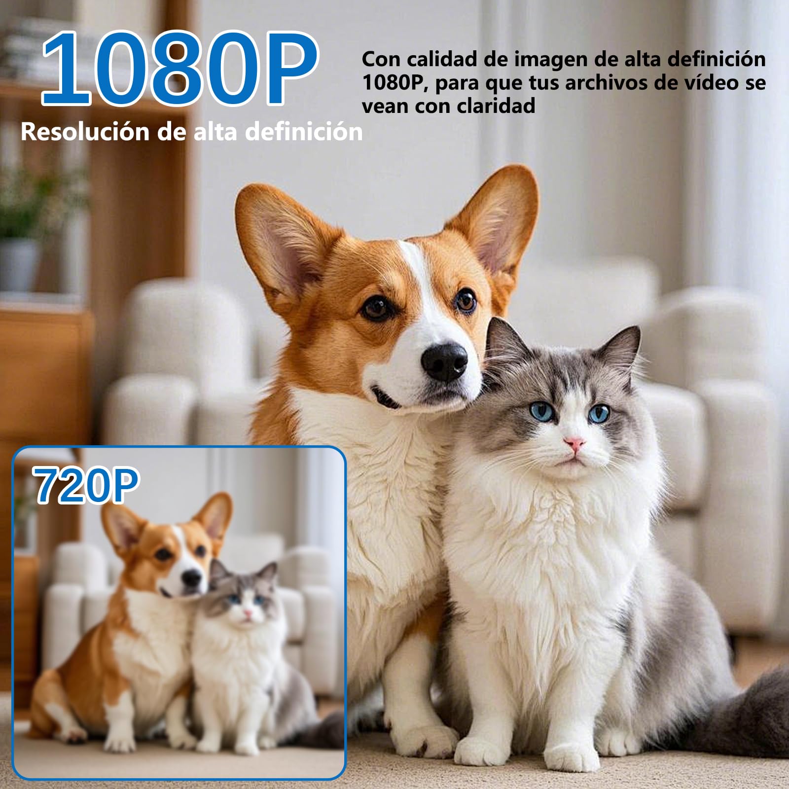 Cámara espía, HD 1080P Mini cámara de vigilancia Oculta, cámara niñera, detección de Movimiento para el hogar, Oficina, supermercado, almacén de vigilancia de Seguridad, sin función Wi-Fi