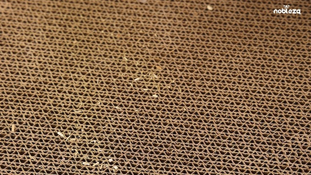 2 Tiragraffi Per Gatti In Canapa E Cartone - Con Erba Gatta In Regalo | 44x22 Cm - Foto 4