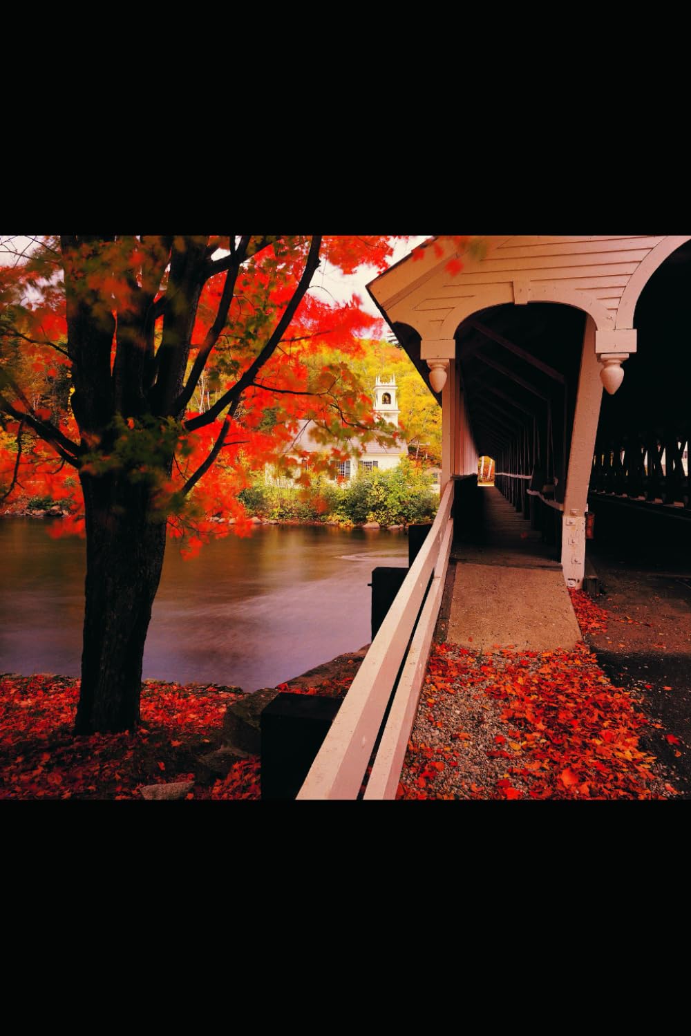 PIECES: A collection of poetry and short stories