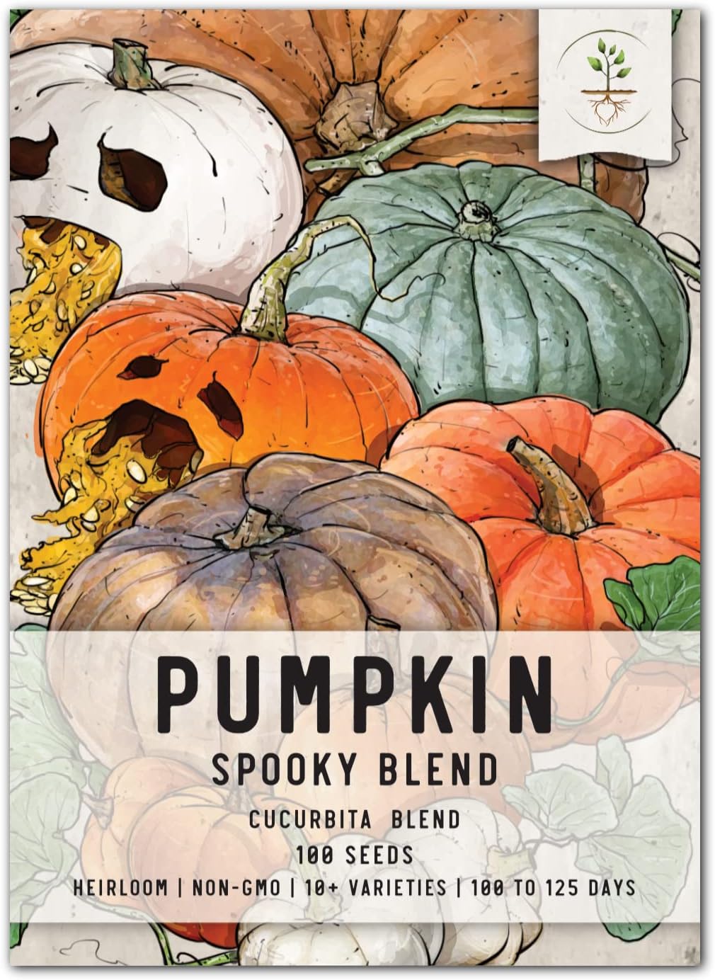 Seed Needs, 100+ Spooky Blend Pumpkin Seeds for Planting (Lumina White, Jack O Lantern, Baby Boo, Blue Jarrahdale, Cinderella & More!) Heirloom, Non-GMO & Untreated Bulk