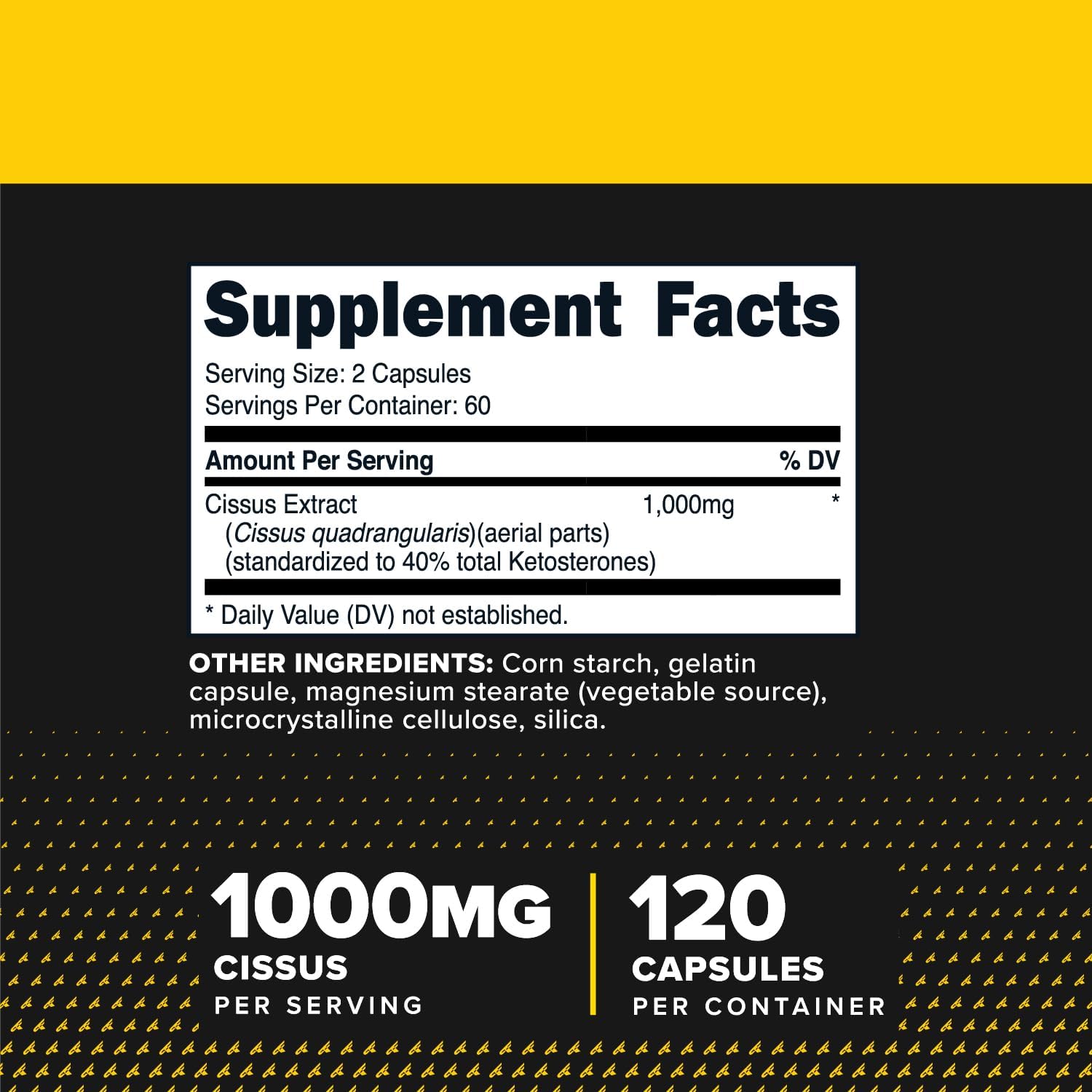 Primaforce Cissus Quadrangularis Extract, 120 Capsules, 1000mg per Serving - Gluten Free, Non-GMO - Image 2