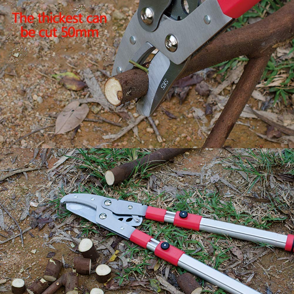 Tijeras de podar telescópicas para árboles de jardín, Tijeras de podar para Ramas Altas, Tijeras Gruesas para Cortar Frutas.